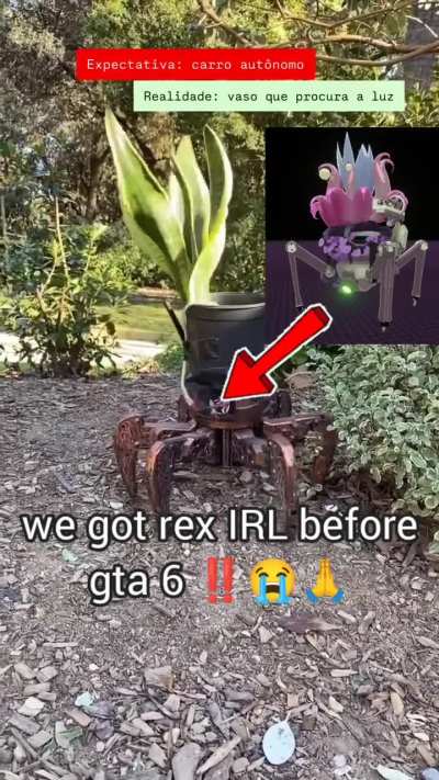 ayo rex??😳😳