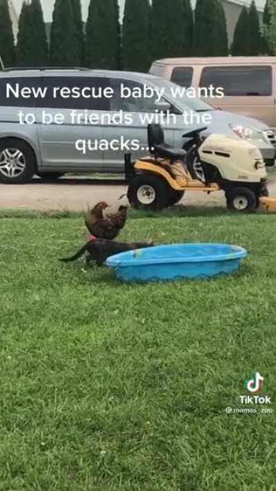 Perhaps the ultimate expression of this sub (posted with permission of OC  