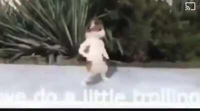 He do be looking kinda fresh tho with those moves