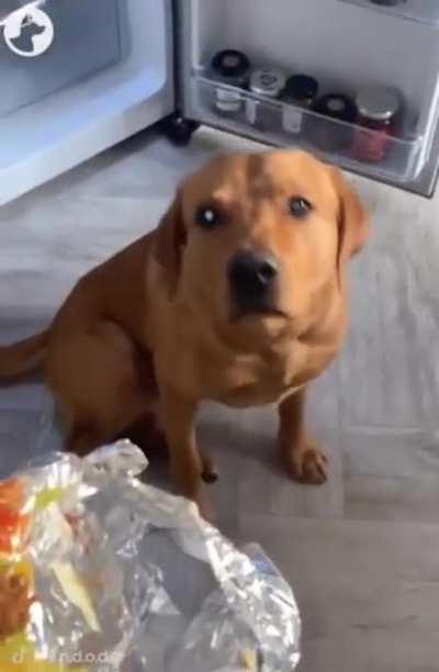 The big one wants it, the little one needs it.