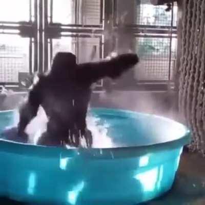 Guardian ape after one parry: