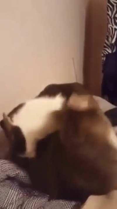 Activate the special attack!