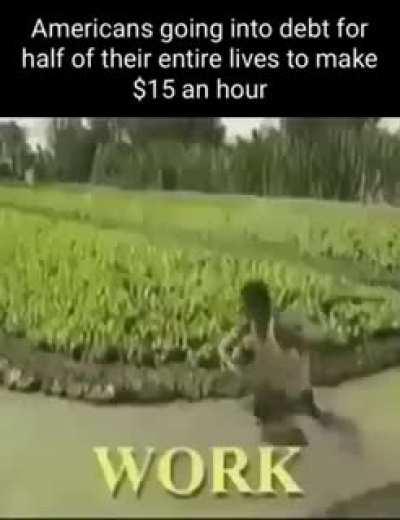 Work, pay, drink, sleep, repeat