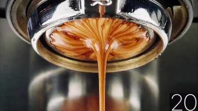 Four days in with my Niche. This is an El Sal Black Honey that I roasted five days ago. 1:1.5 ratio 20g in 30g out. Ground on 18.5 on the Niche. The machine is my twenty year old Silvia, no PID or mods of any kind.