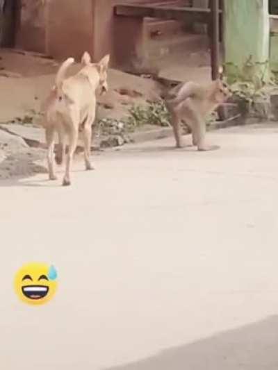 Seems like these two done it.