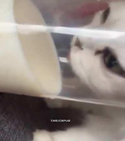 How does he do that?