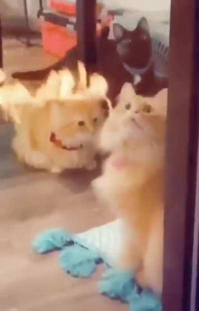 Как я себя чувствую в 2020