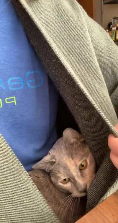 Best part about working from home.