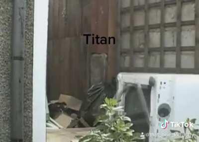 Levi doing his thing