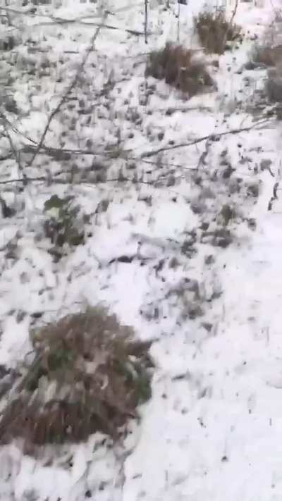 Russian soldiers examine the torn bodies of their comrades after an FPV drone attack on their position in Donetsk Oblast. Part 2