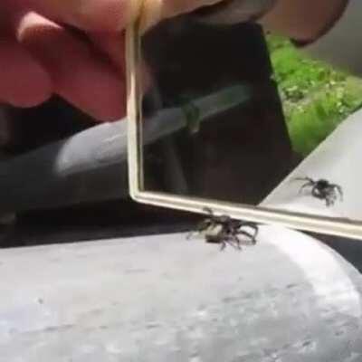 Start of every round