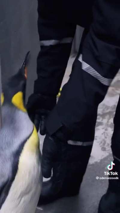 Chad thought he’d celebrate his divorce from Brittney by going to the club with his boys. However, the bouncers had to escort them out after Chad tried to fight Will, Britney’s coworker, he KNEW she was cheating on him with!