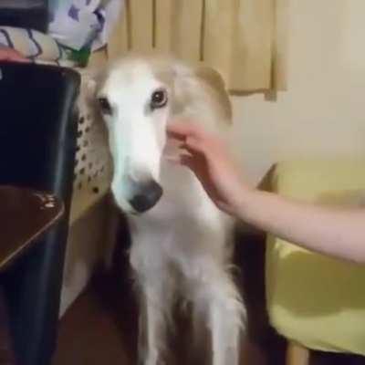 Nose as a vacuum cleaner 😁