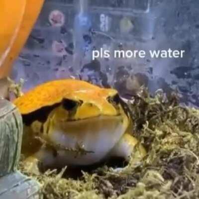 Genre: gaming music / it’s eating me up please help