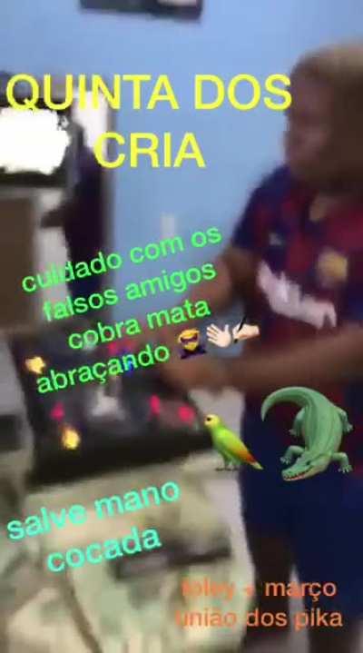 Quinta dos crias