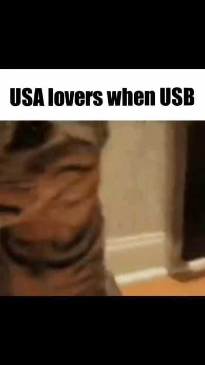 USA lovers