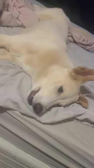 I don't bother setting alarms for when it's time to eat, anymore.