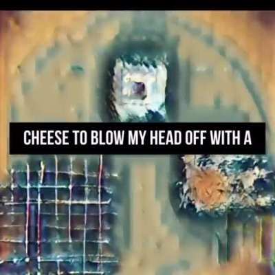 because i have had it with you pissing in my hair