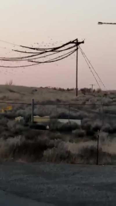 Perfect resting spot