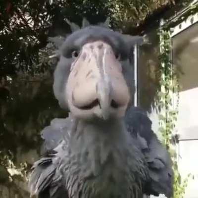 I have no idea what this model was made for but it's fantastic