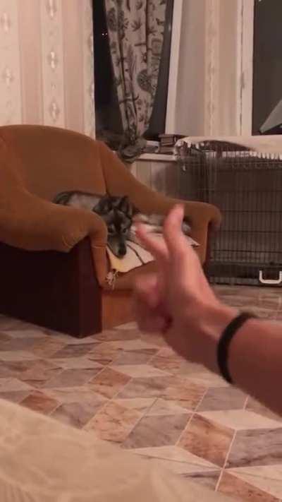 You've shot me for the last time!