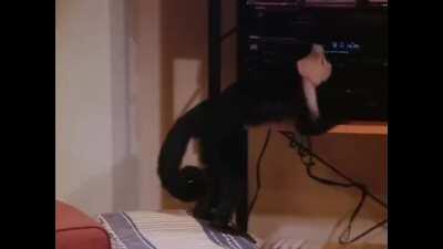 If anyone has made this before, I do apologise