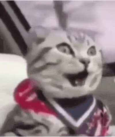 Extroverts, being finally outside after everyone takes the vacine