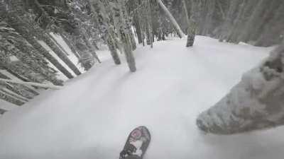 Probably the best clip I've ever recorded on the Gopro