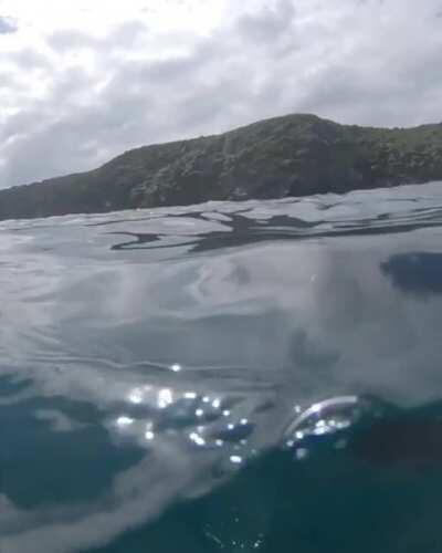 Don`t know if this was posted before..