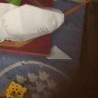 To cut a crayon in half