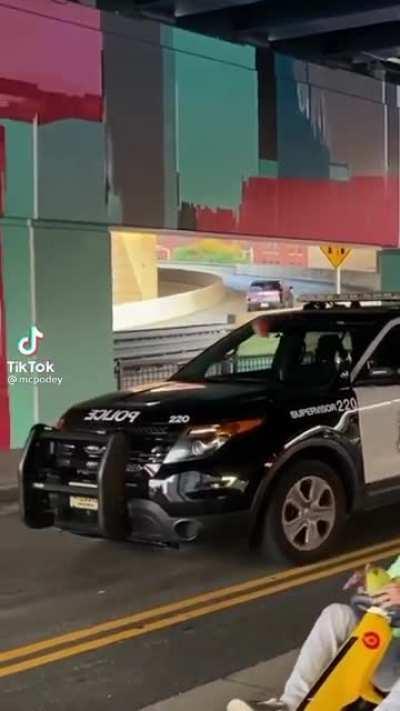 Bloodthirsty police officer bludgeons harmless video gamer with turtle shell