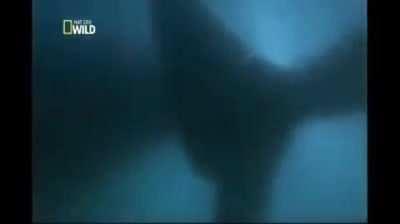 Feliz dias das mães!