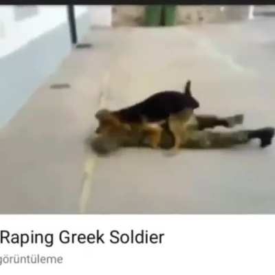 Most patriotic turkish dog 🇹🇷