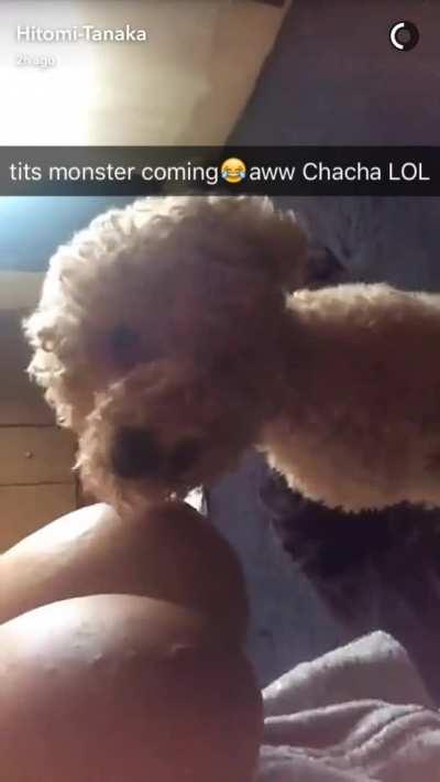 Tits Monster Coming