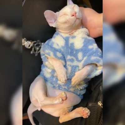 No one can stop me spleeping