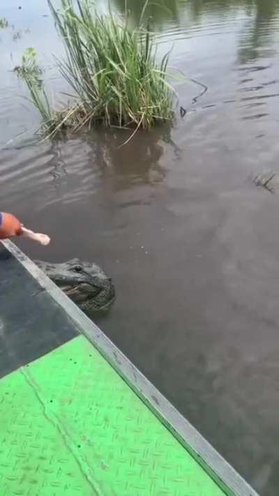 Florida citizenship test.