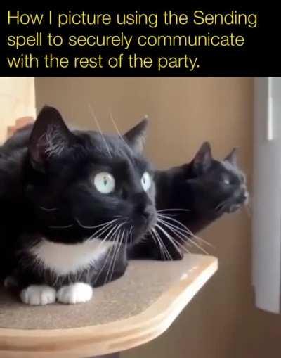 Let’s see an Illithid try and eavesdrop on this.