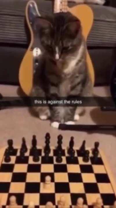 My opponent just made this move, what do I do? (I’m white)