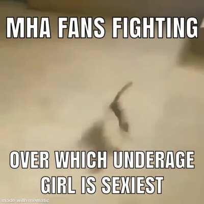 mha fans