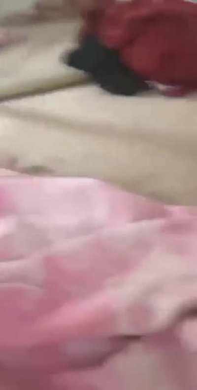 Alexadellanospics - Video #5674