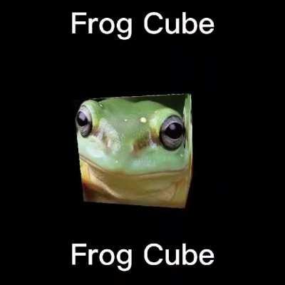 Frog Cube