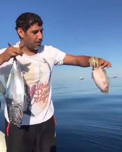 WCGW Playing With A Jellyfish