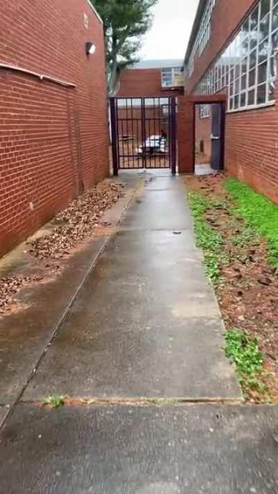 I’m 15 and this is yeet