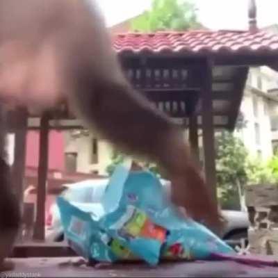 Chizitos con manteca