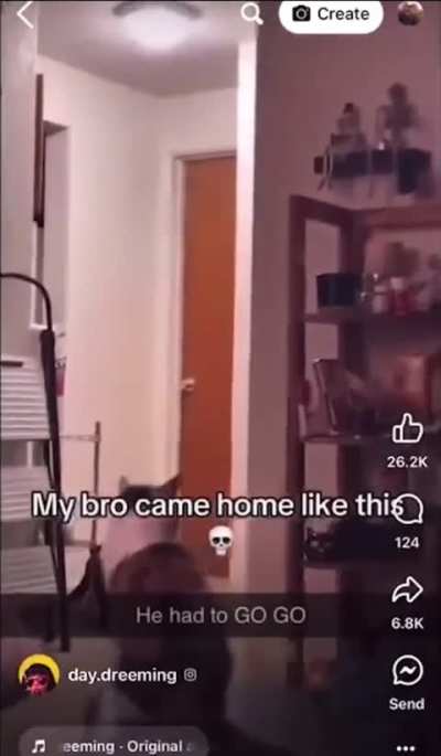 Day one of me posting to the random shitpost sub I was made an approved user of even tho I js heard of this sub