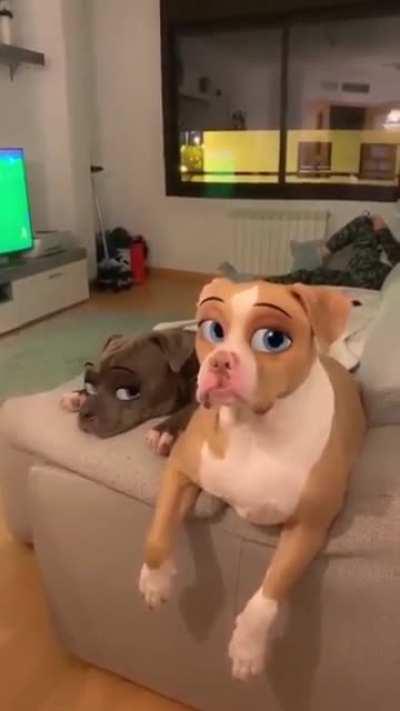 I love when filters work on dog faces