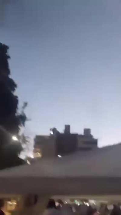 Así se vive la invasión de mosquitos en La Plata