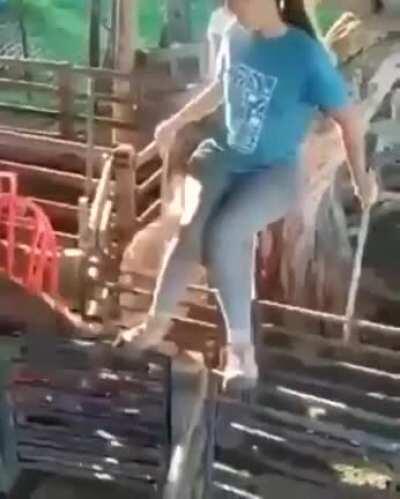 Skilled drafting gate operator in Patagonia