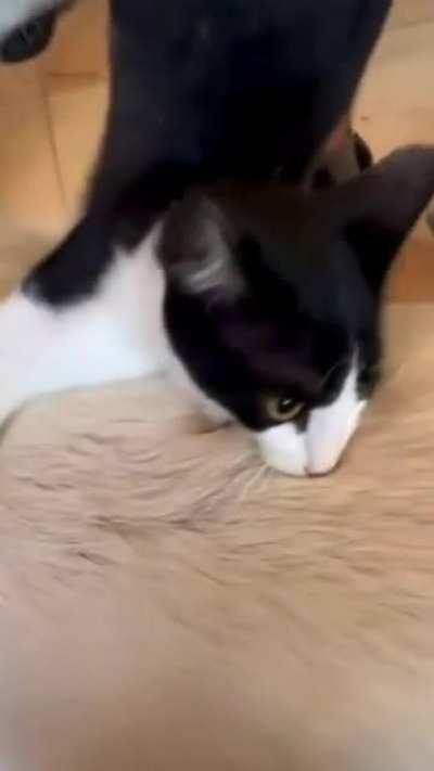 Relationship Status: It’s Complicated