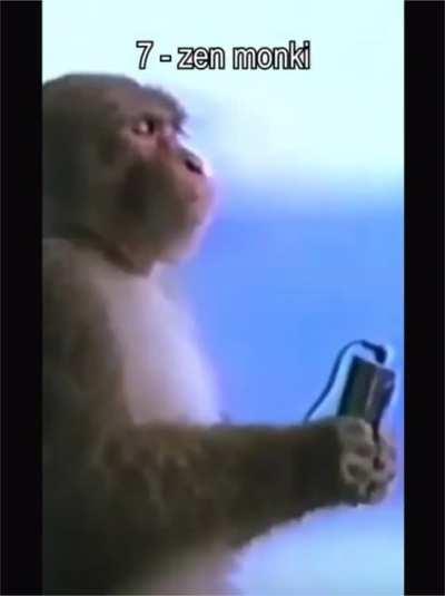 Who would win? Hedgefunds with Harvard degrees and years of experience? Or amc monkis? I’ll pick the monkis every time🦍